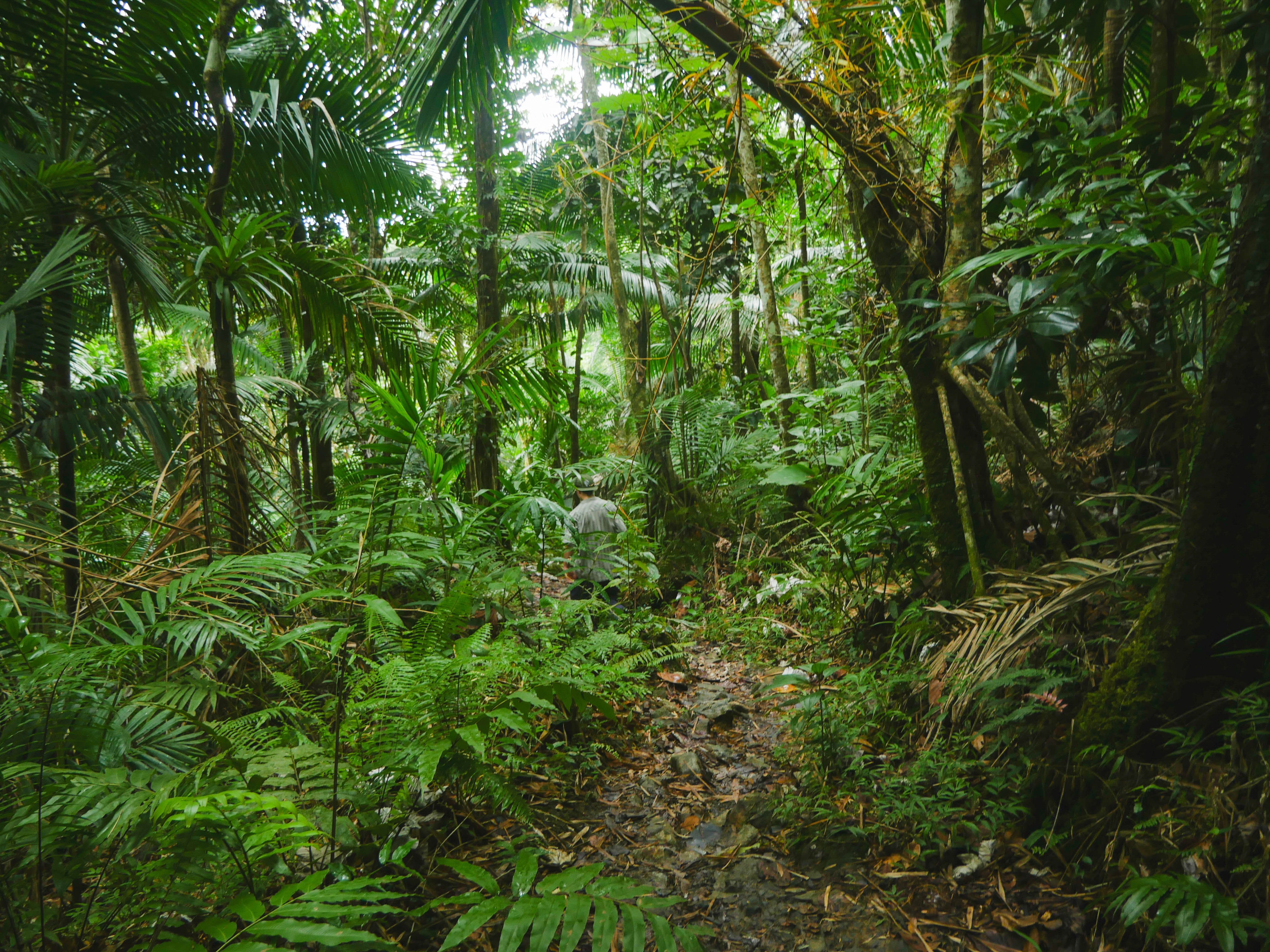 TrailGreen.jpg
