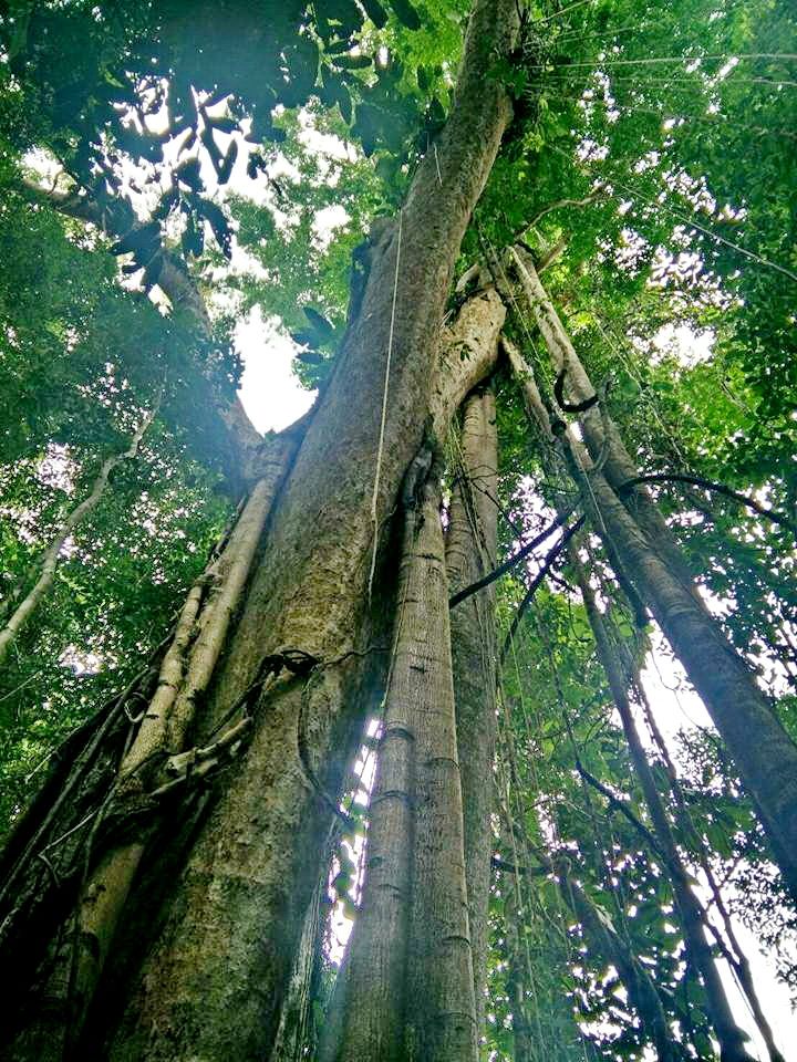 iPhone 6 Aus Mums Home 3552.JPG