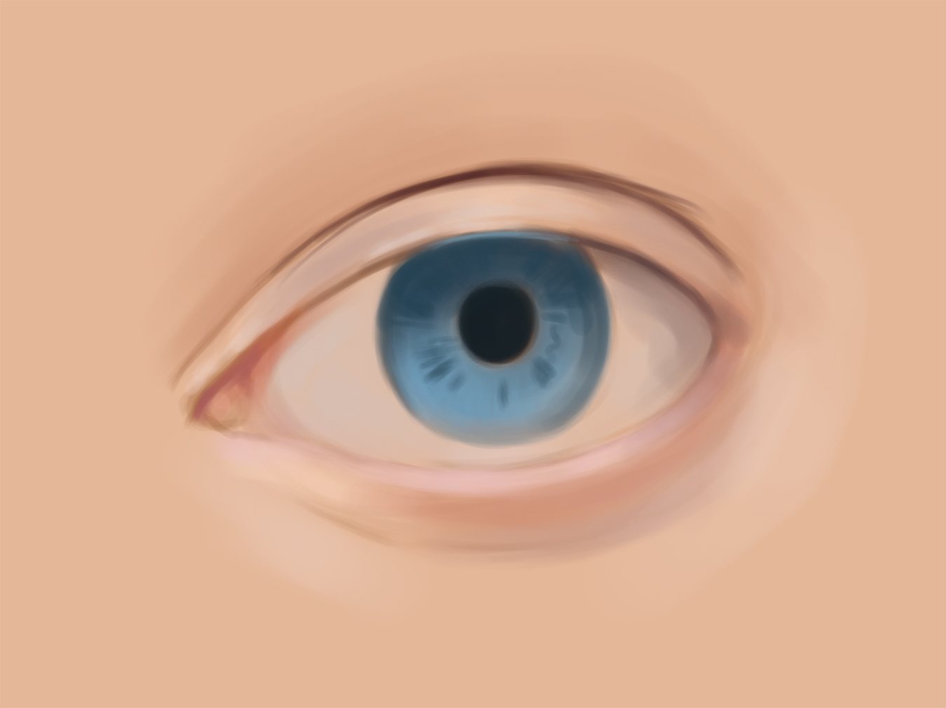 eye_step4.jpg