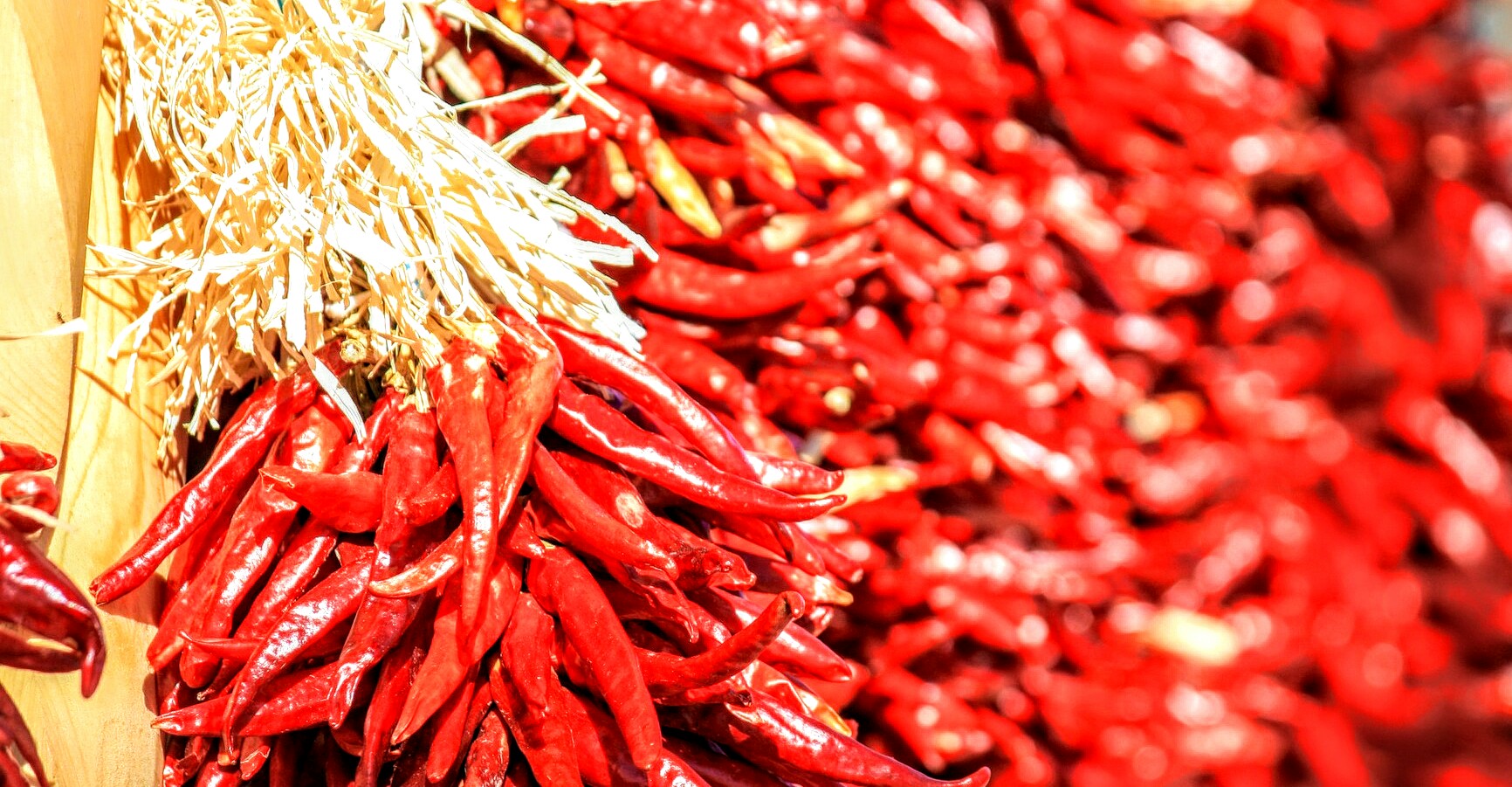 chili-peppers-692007_1920.jpg