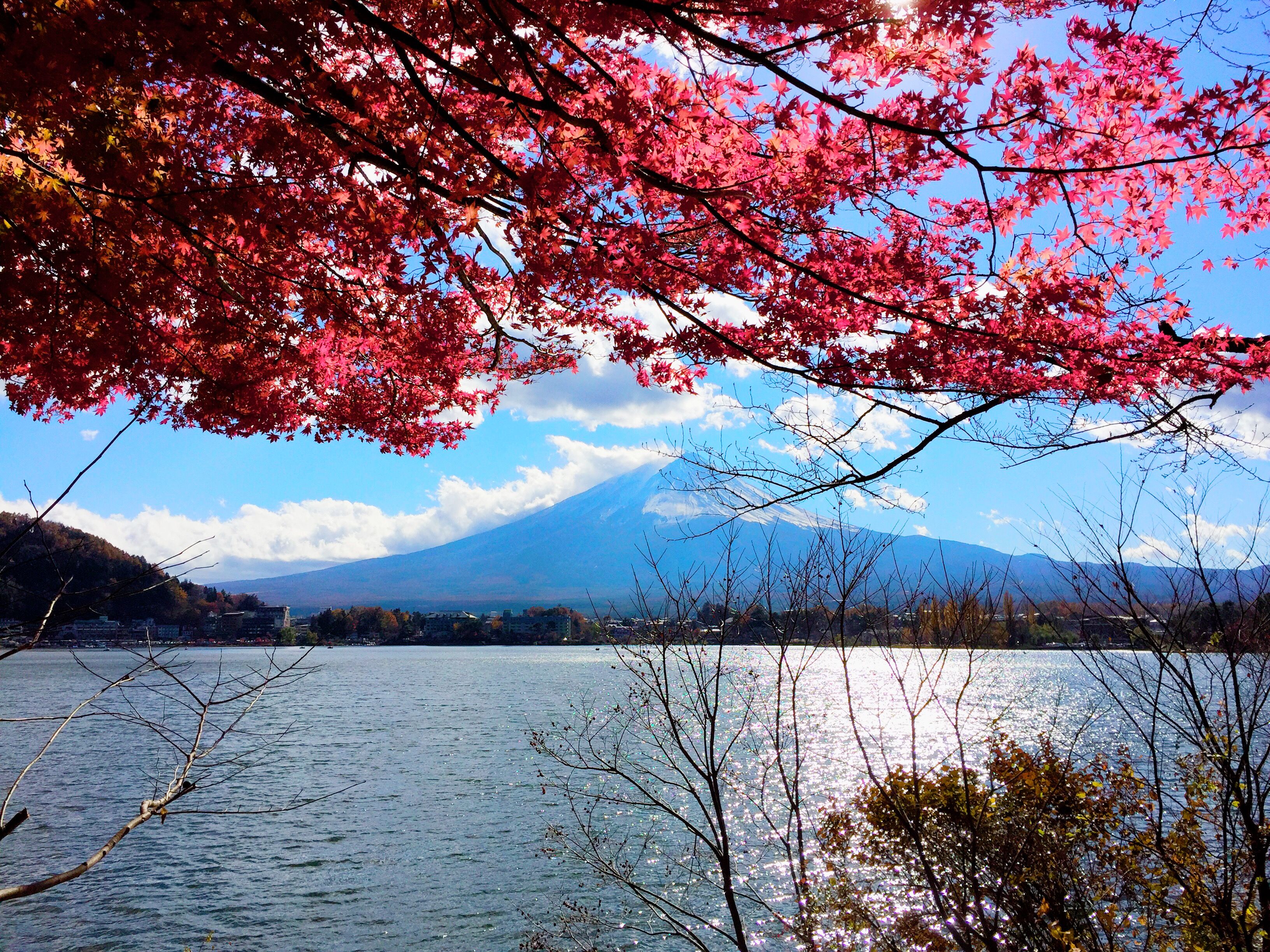 2017-11-19 12.55.30.jpg