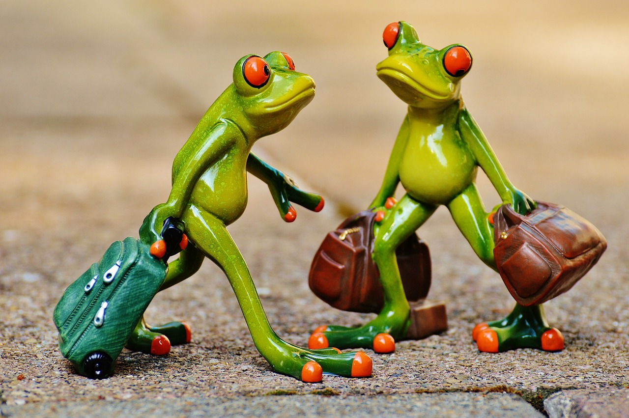 frogs-897387_1280.jpg