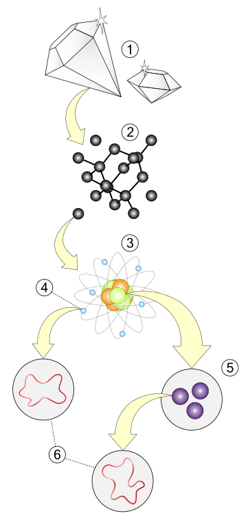 String_theory.svg.png