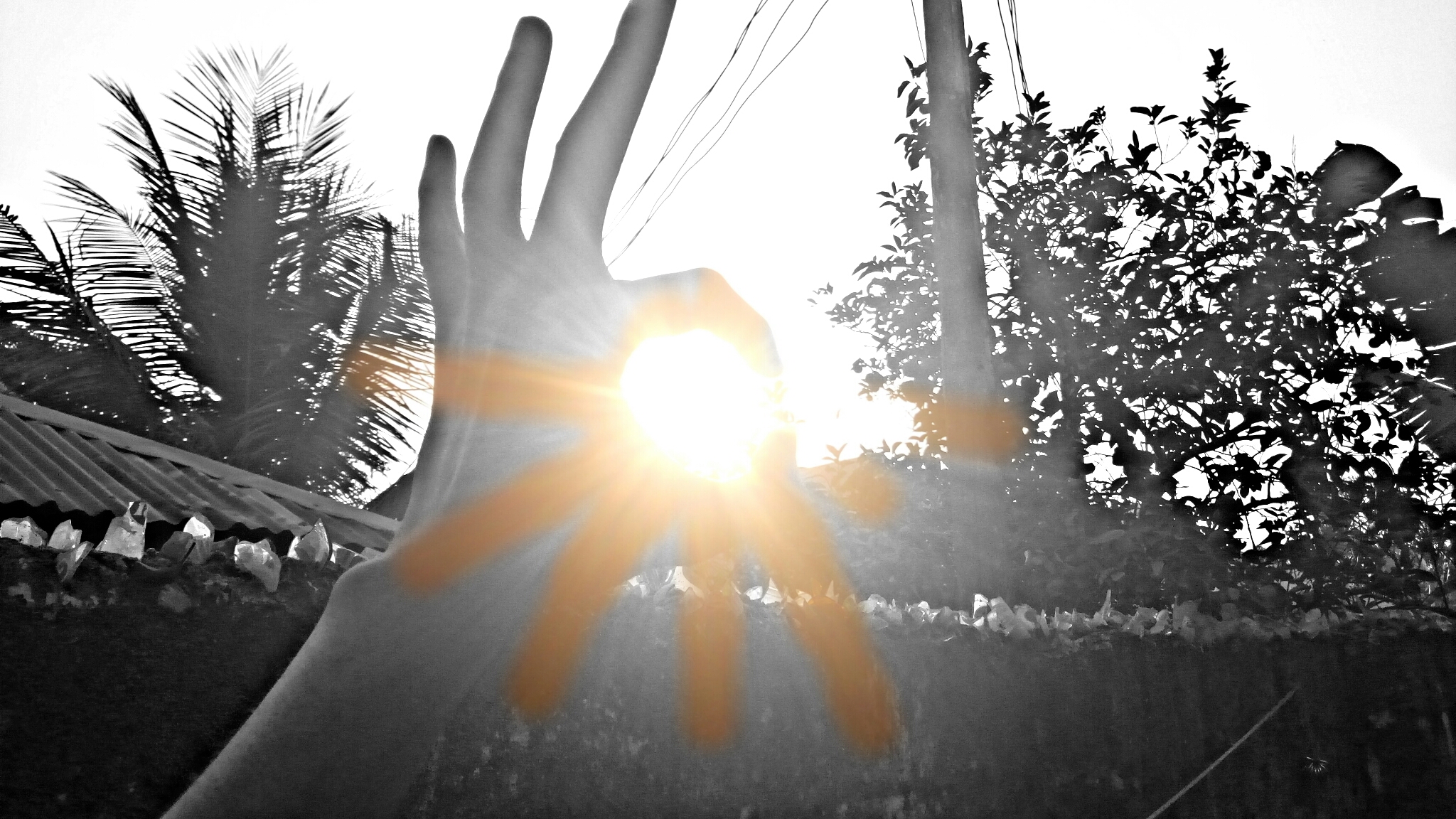 PicsArt_1517940303782.jpg