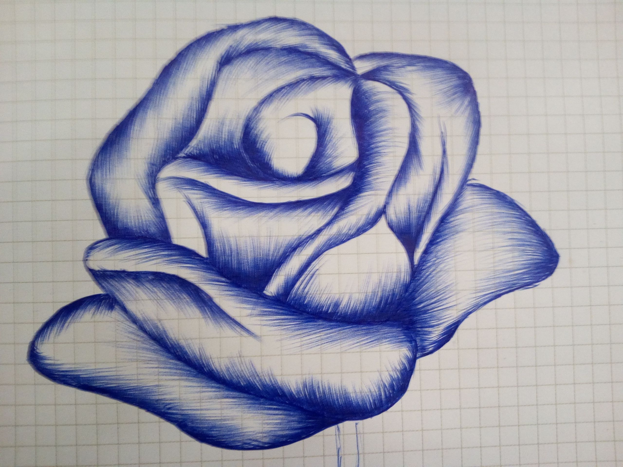 How To Draw A Rose With A Pen This drawing lesson will walk you step