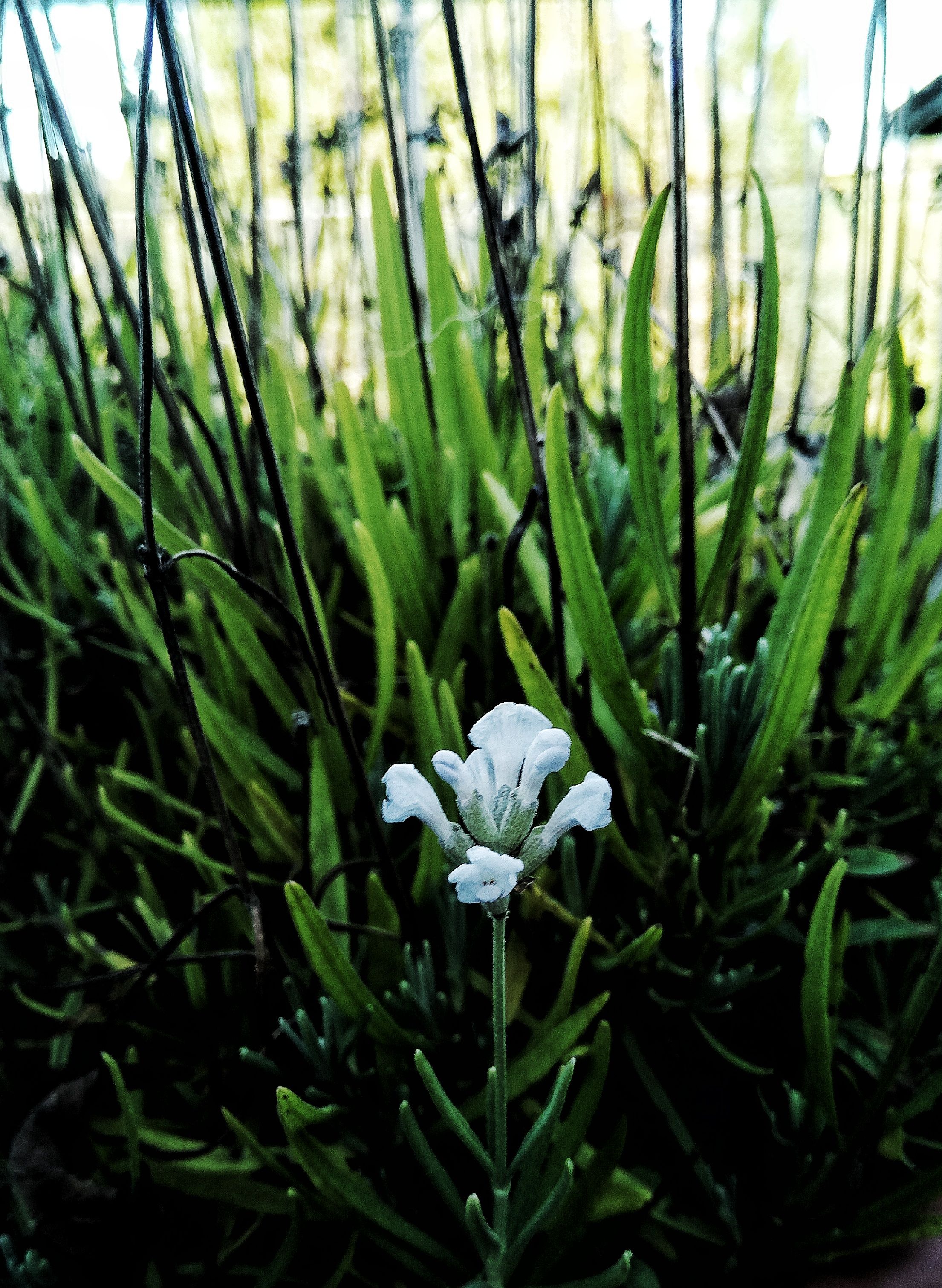 DSC_1418-01.jpeg