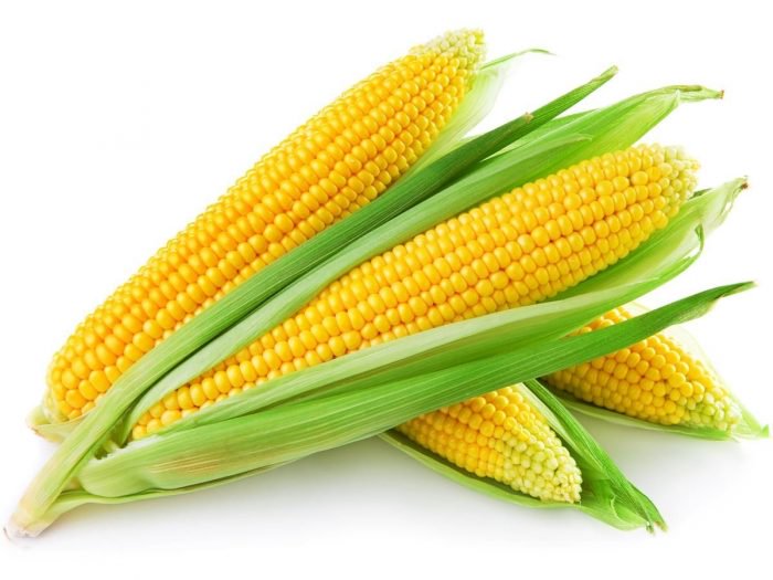 Corn12.jpg