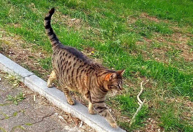IMG_20180324_172209_HDR.jpg