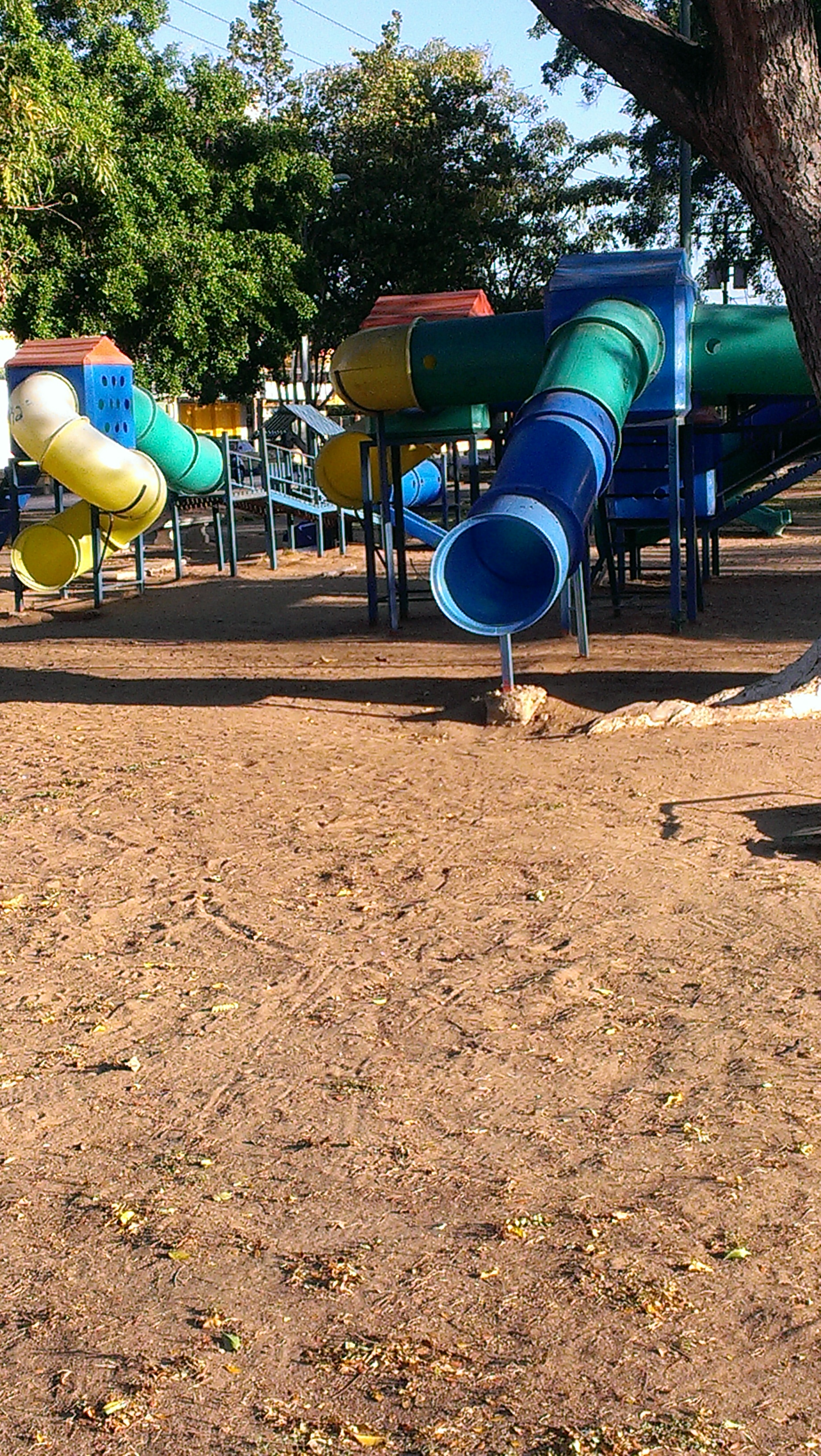 IMAG0312.jpg