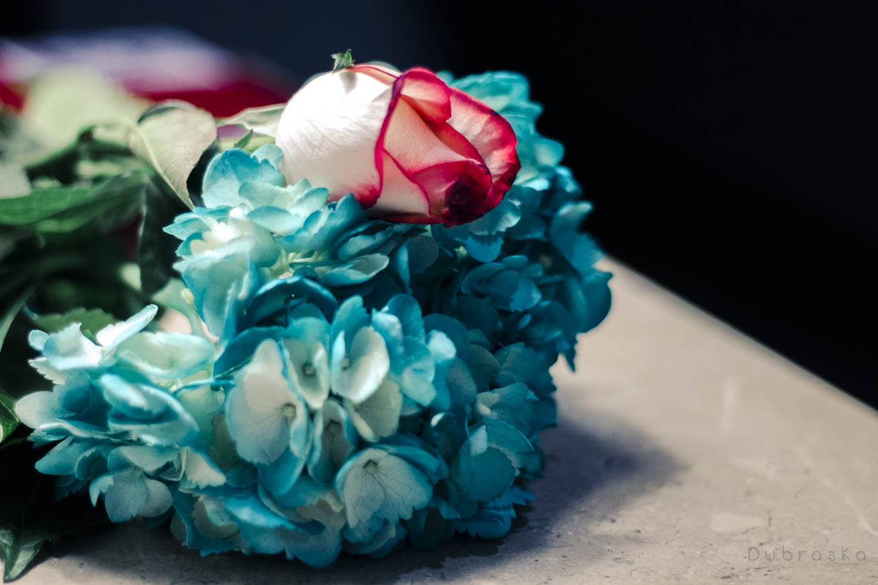 Flores-5190.jpg