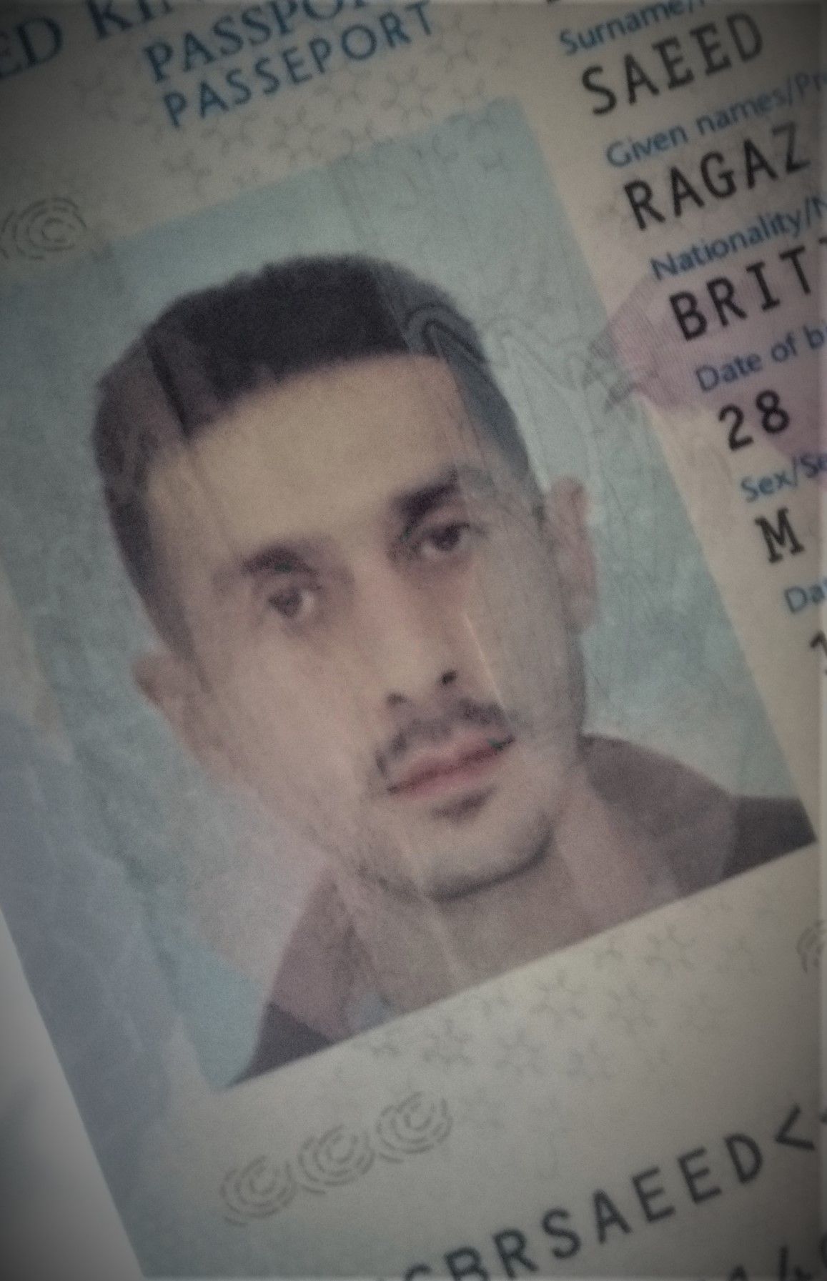 icon pic passport.JPG