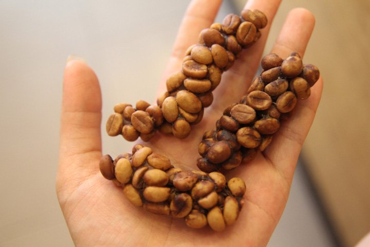 Kopi-Luwak-Coffee.jpg