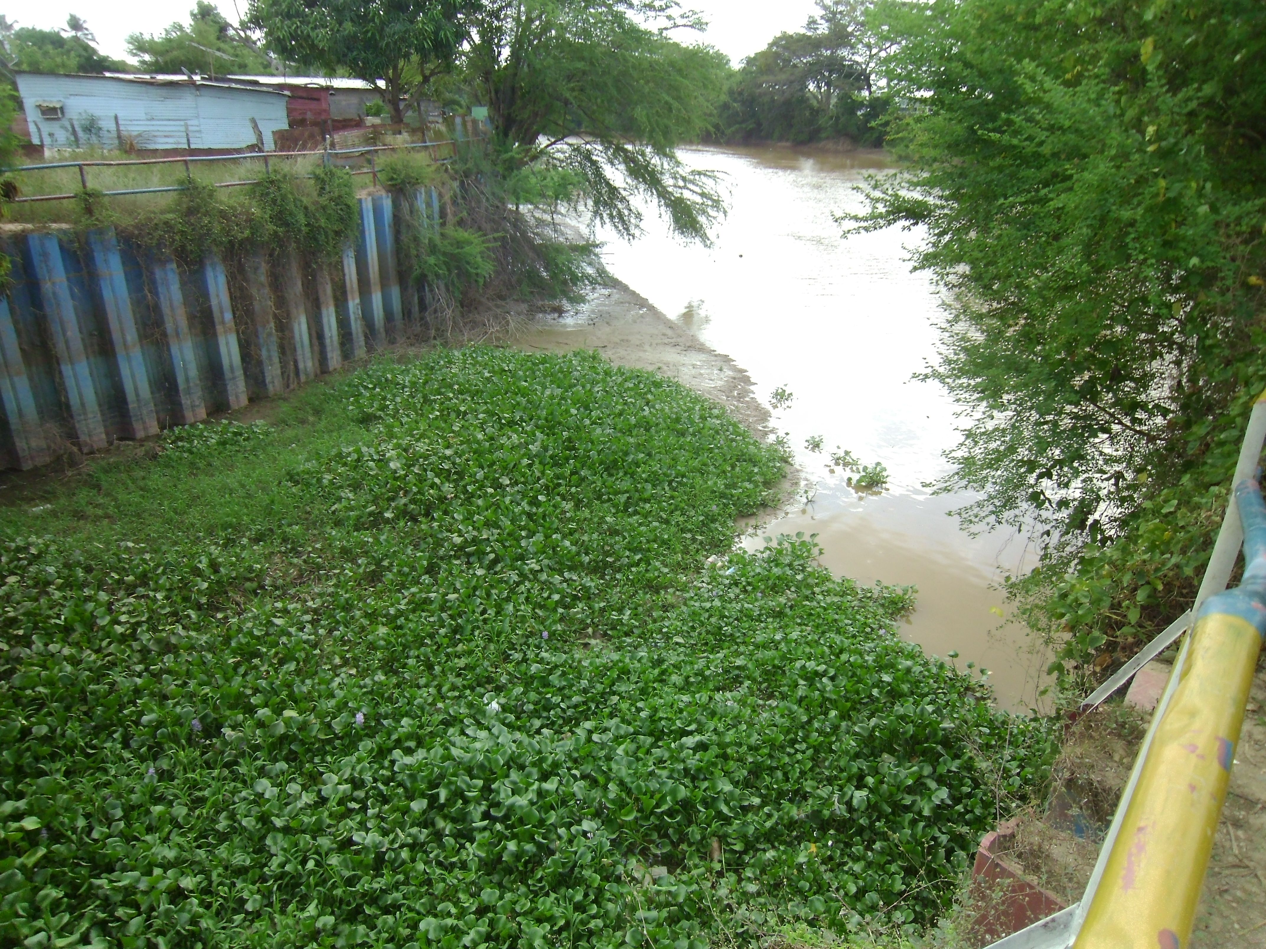 compuerta y pantano.JPG