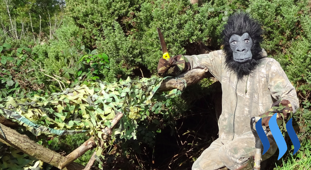 gorilla filler.png