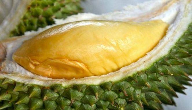 18-13-23-56cfa1cfead79-8-trik-jitu-memilih-buah-durian-yang-enak-dan-manis_663_382.jpg