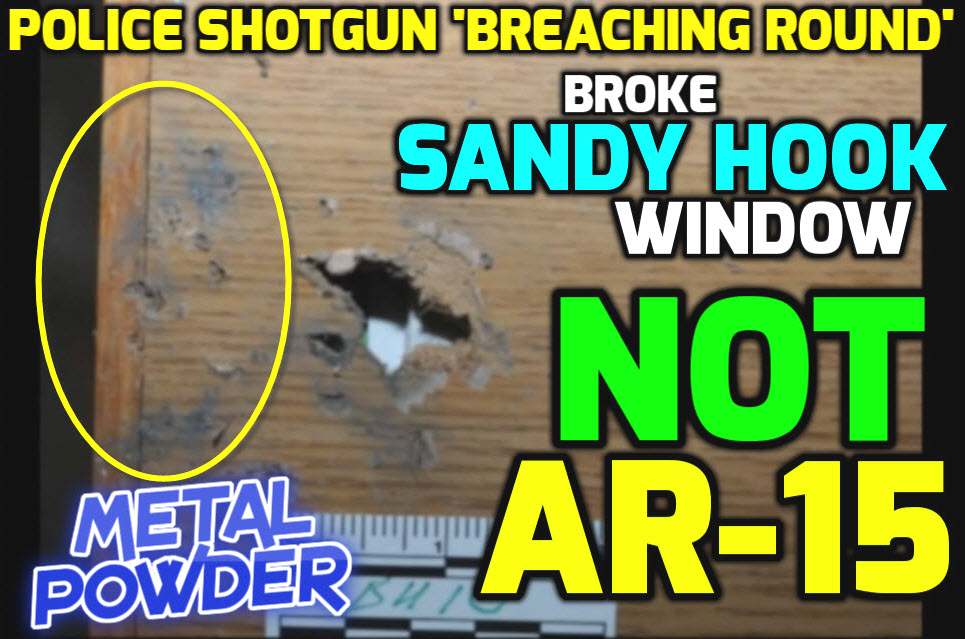 gun control sandy hook newtown shooting ar15 shotgun.jpg