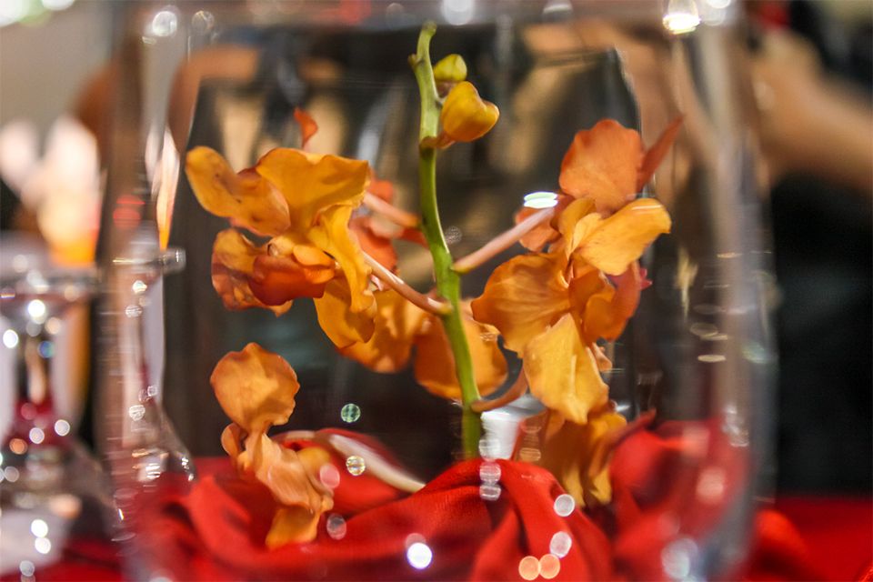 An Orchid Flower Behind the Wine Glass.jpg