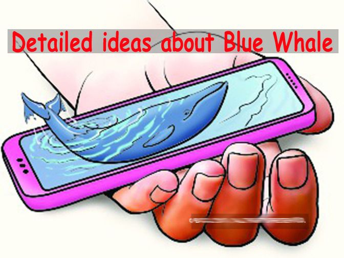 it-ministry-asks-google-facebook-whatsapp-and-others-to-remove-blue-whale-game-links.jpg