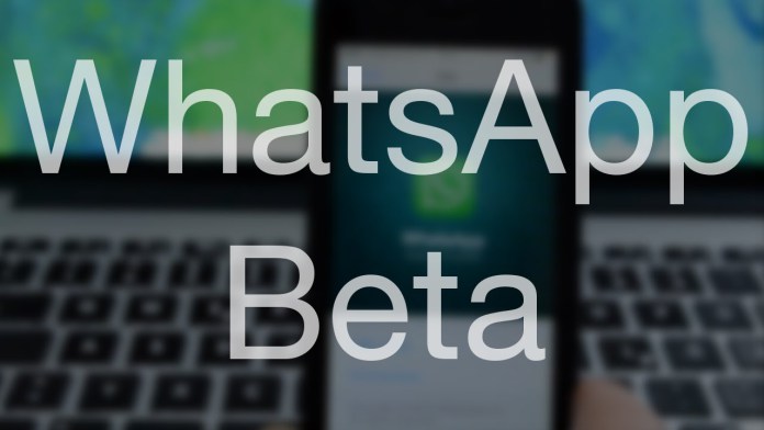 WhatsApp-Beta-WhatsApp-WhatsApp-Update.jpg
