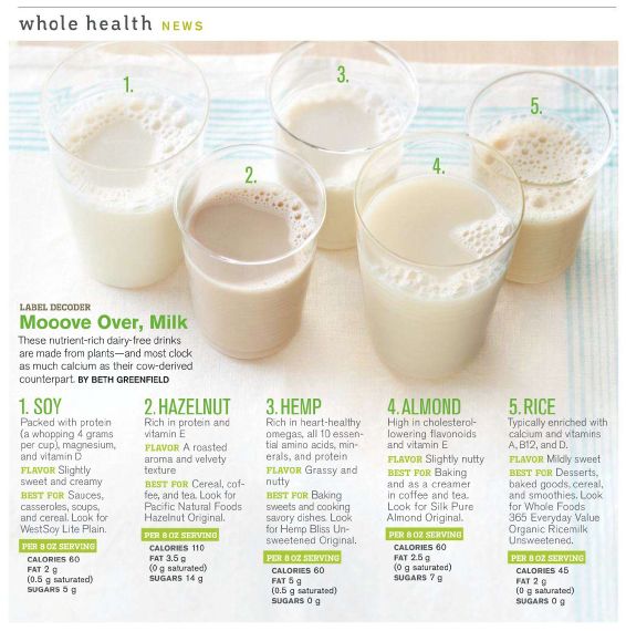 d3c4809a526dd6cdb3fd61b1f00c8188--lactose-free-dairy-free.jpg