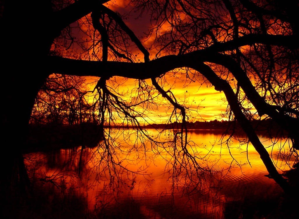 sunsets-sunset-river-dark-creek-sun-natural-orange-brown-paysage-horizon-sky-water-sunrays-scene-maroon-photoshop-cool-reflection-black-fields-photography-sunsets-hd-background.jpg