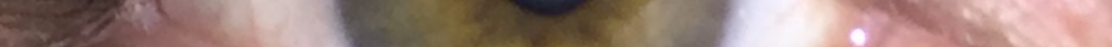 Screen Shot 2018-05-20 at 6.19.11 PM.png