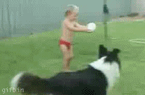 46e054fd1e5c1d3472452ca05546596c.gif
