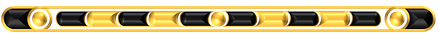 Belt 8 - Black-Gold.png