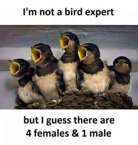 FB_IMG_1520969432530.jpg