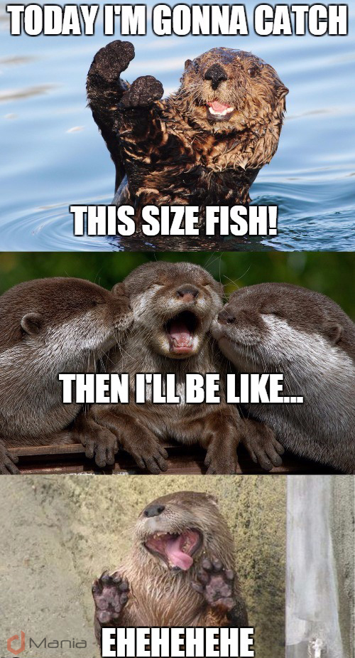 otter_done.jpg