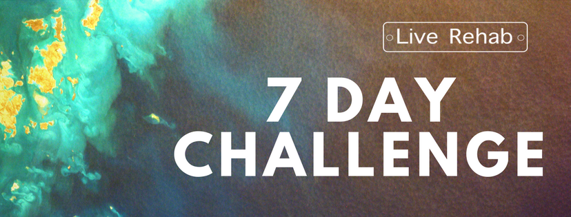 7 Day Challenge.png
