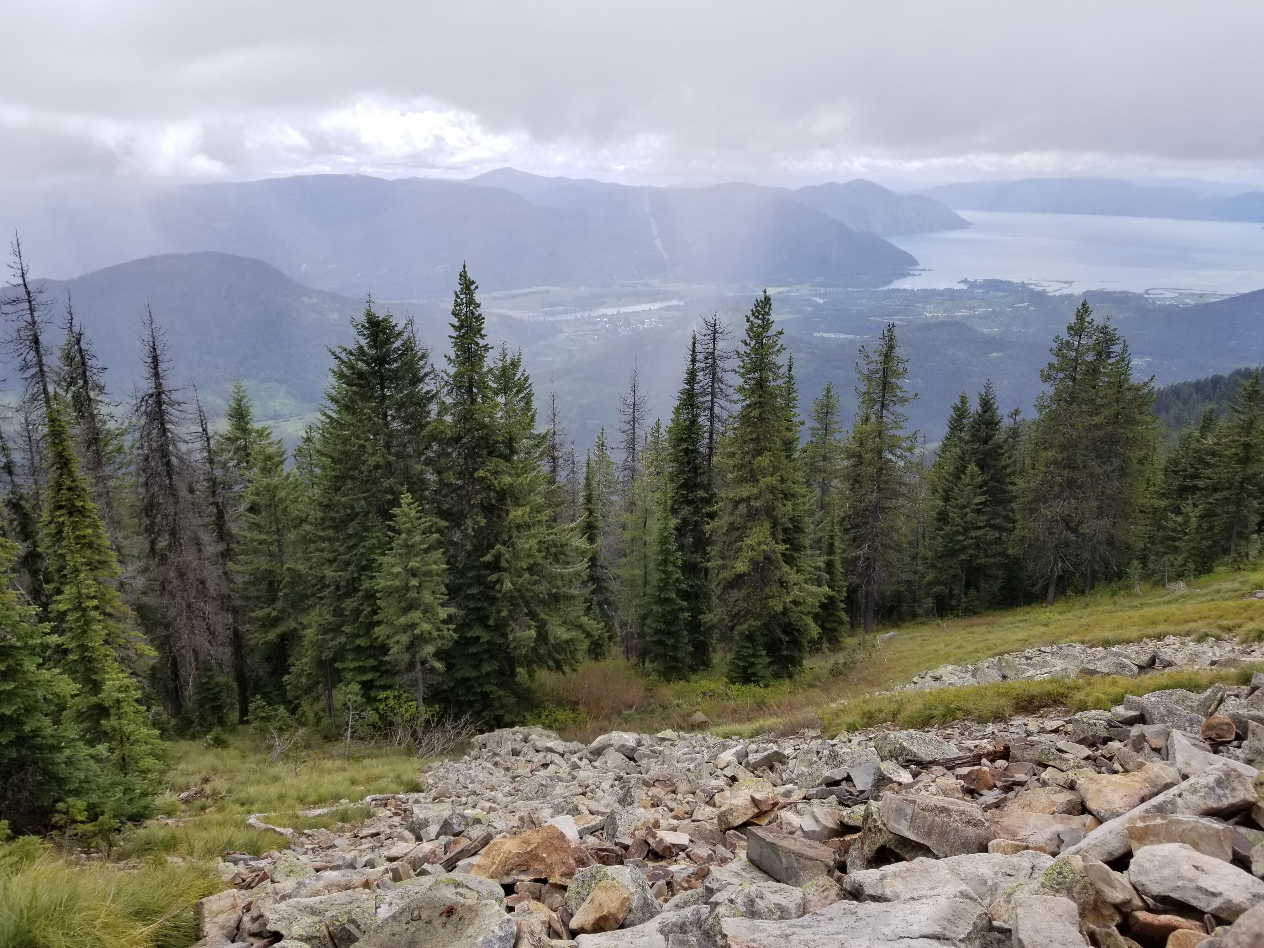 20170610_133130.jpg