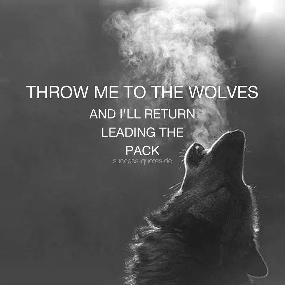 Raving george oscar wolf. Throw me to the Wolves. You're mine Oscar and the Wolf. Throw me to the Wolves перевод. Raving George feat. Oscar the Wolf.
