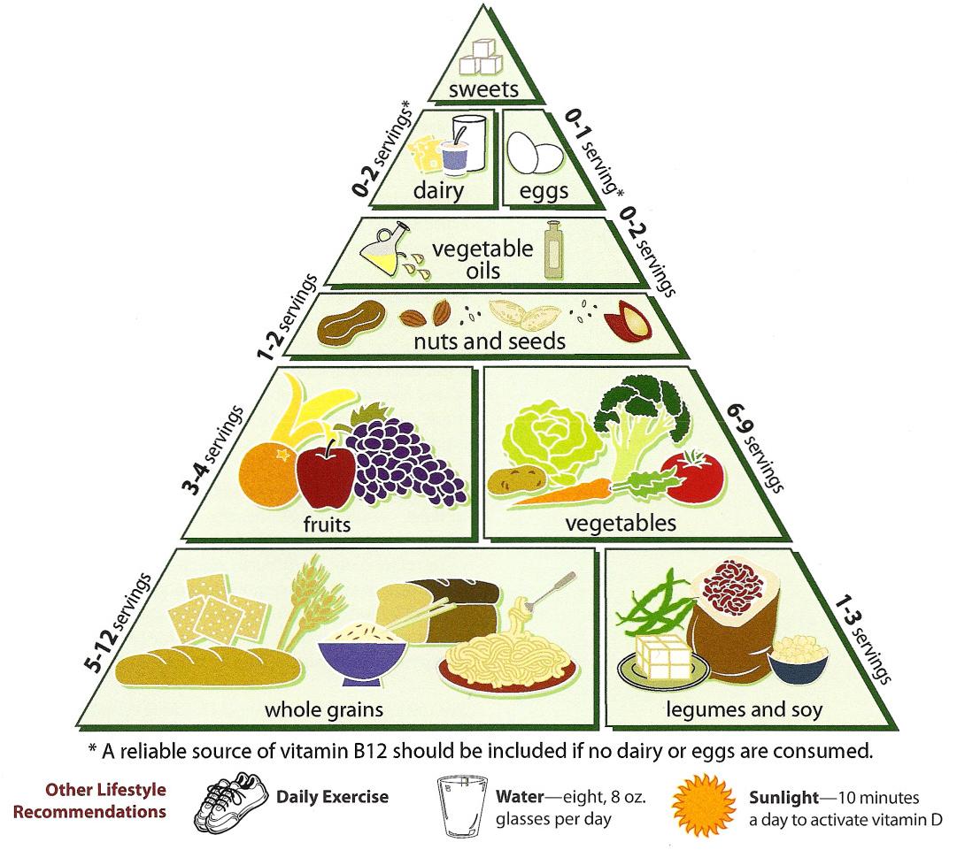 nutrient pyramid.jpg