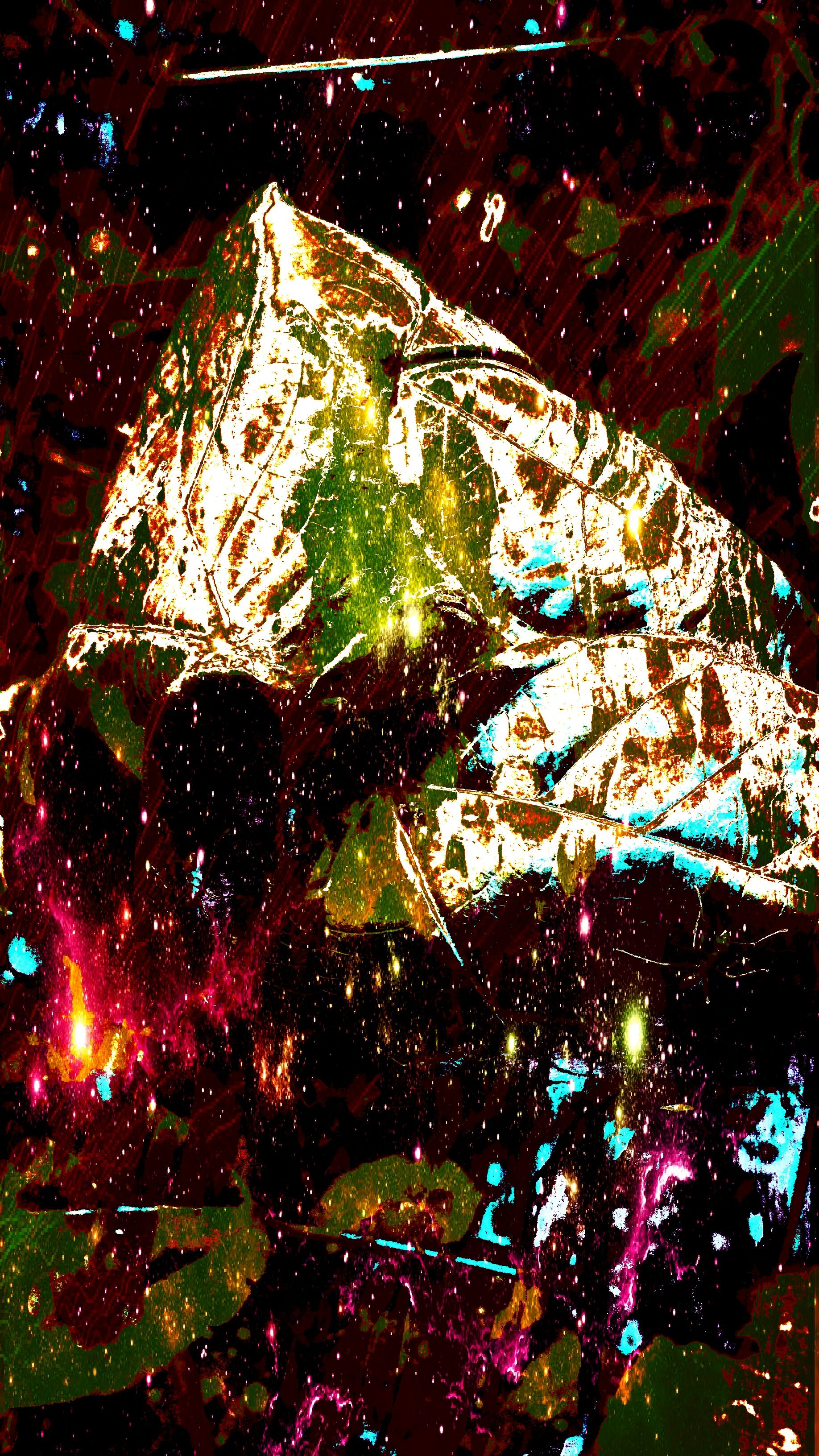20171225_190017_20180108174400862.jpg