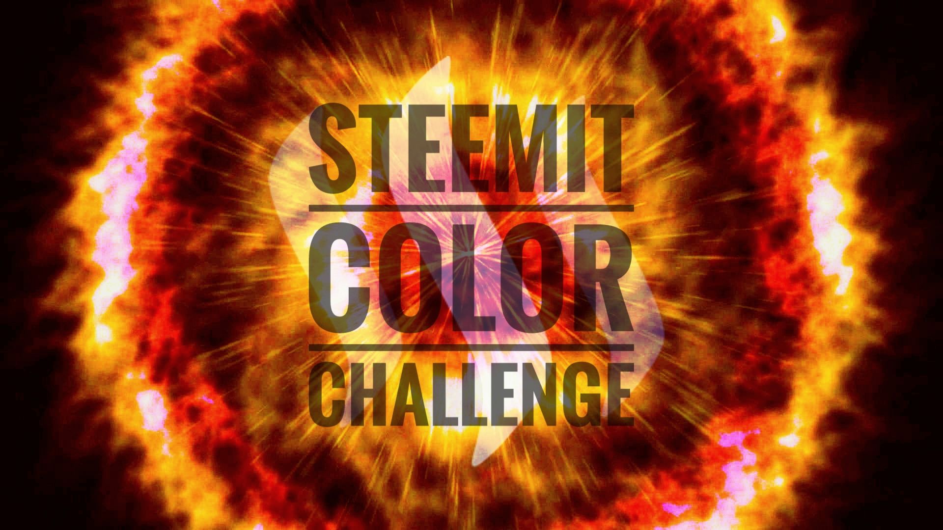steemit color challenge orange.jpeg