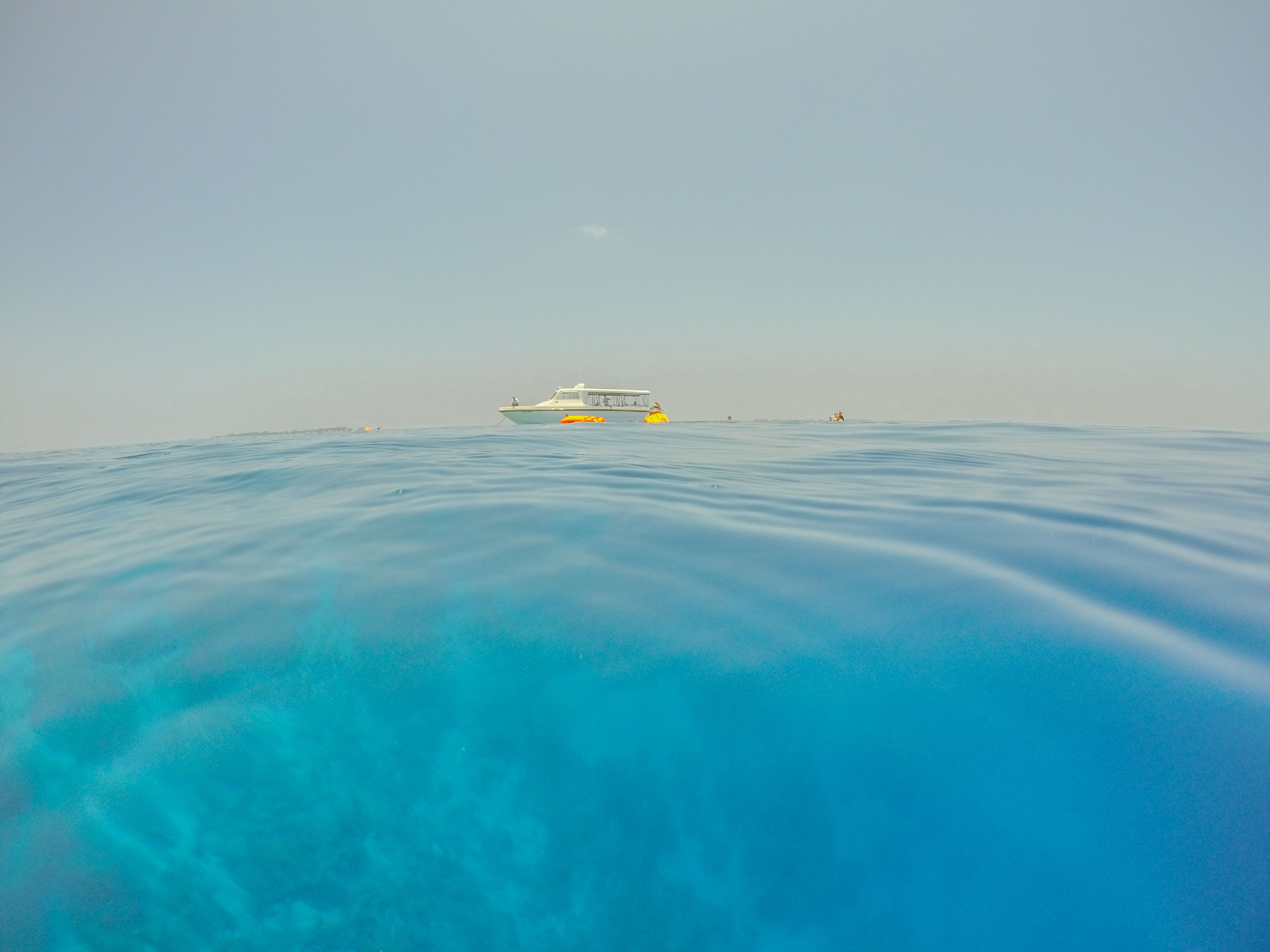 snorkeling trip maafushi136785.jpg