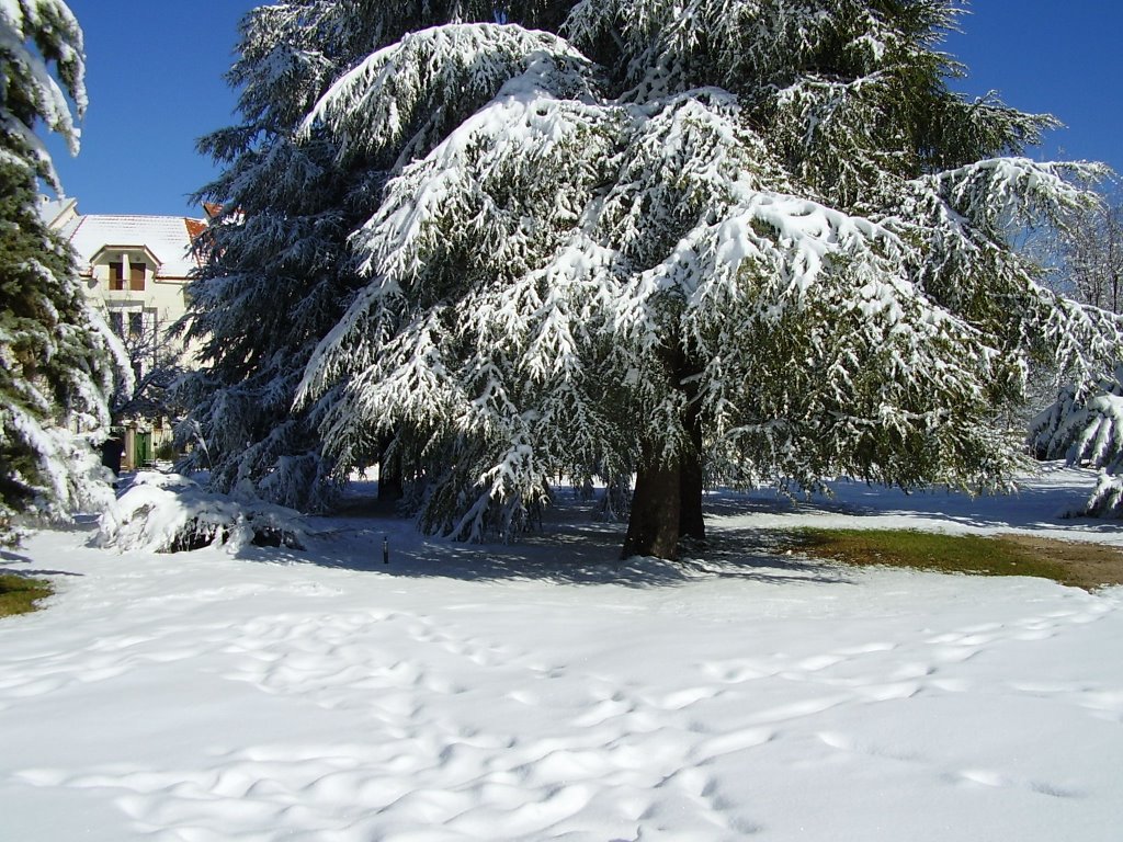 Ifrane.jpg