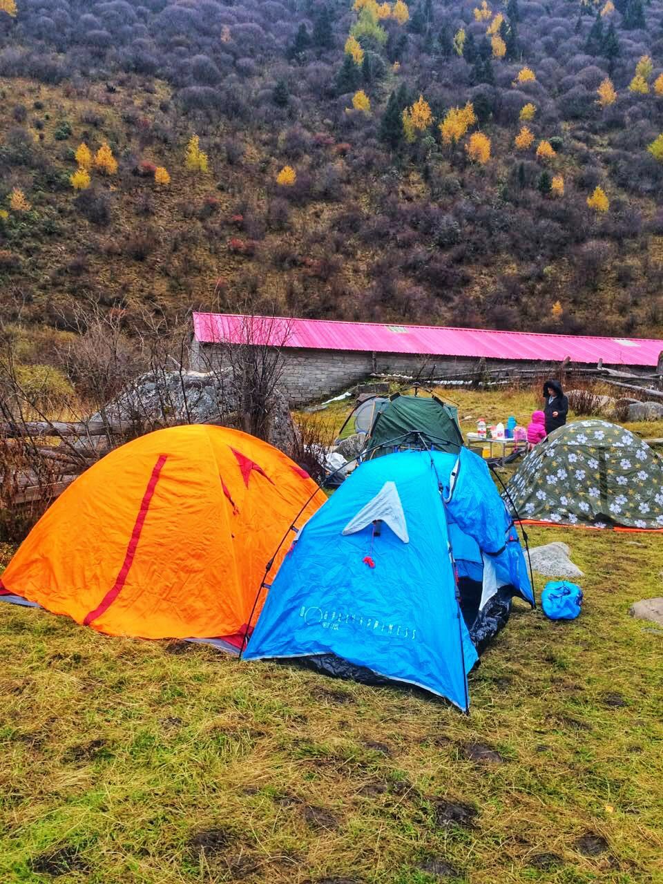 campingmiya.jpg