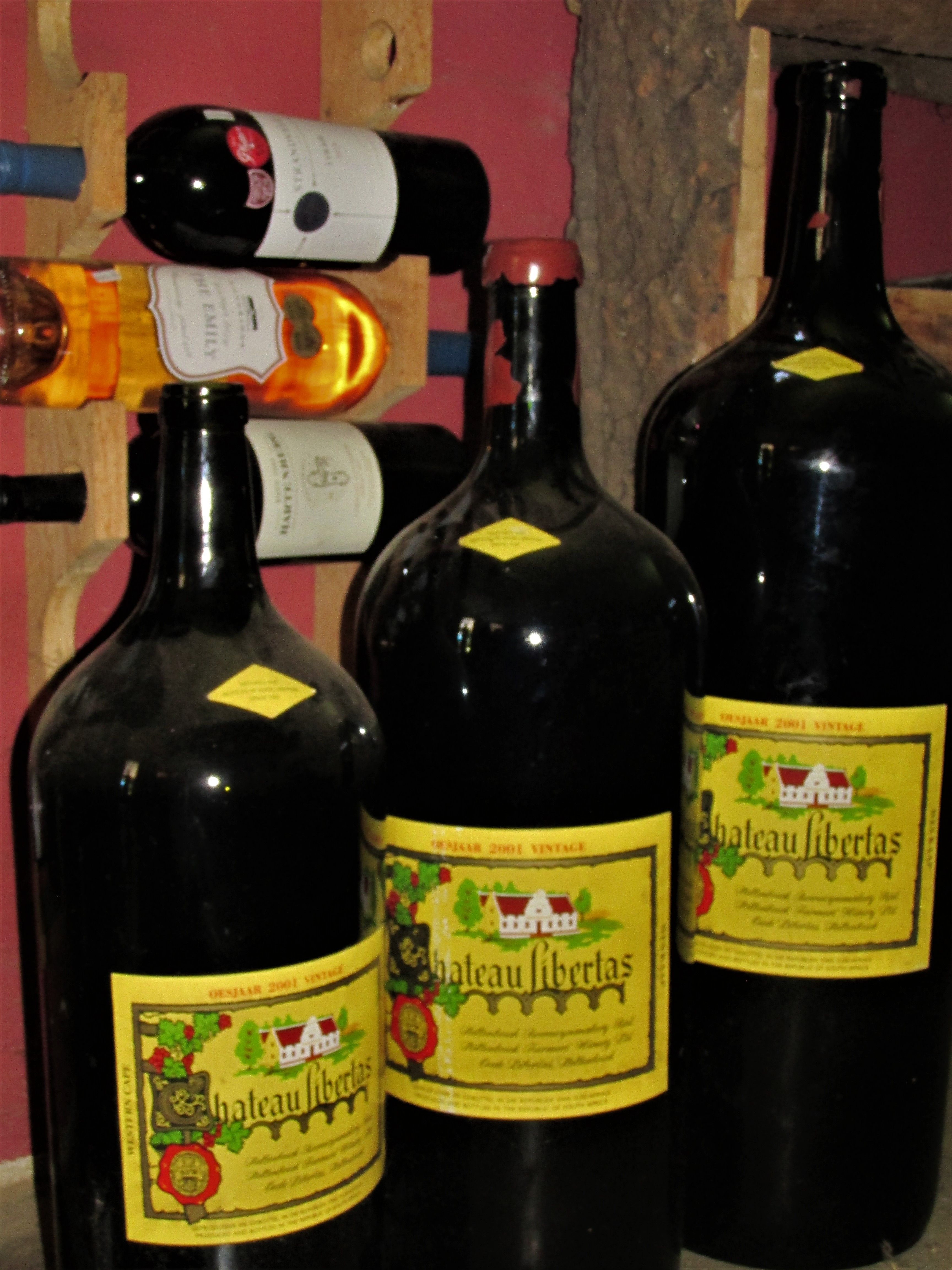 IMG_5151 (2)_resized.jpg