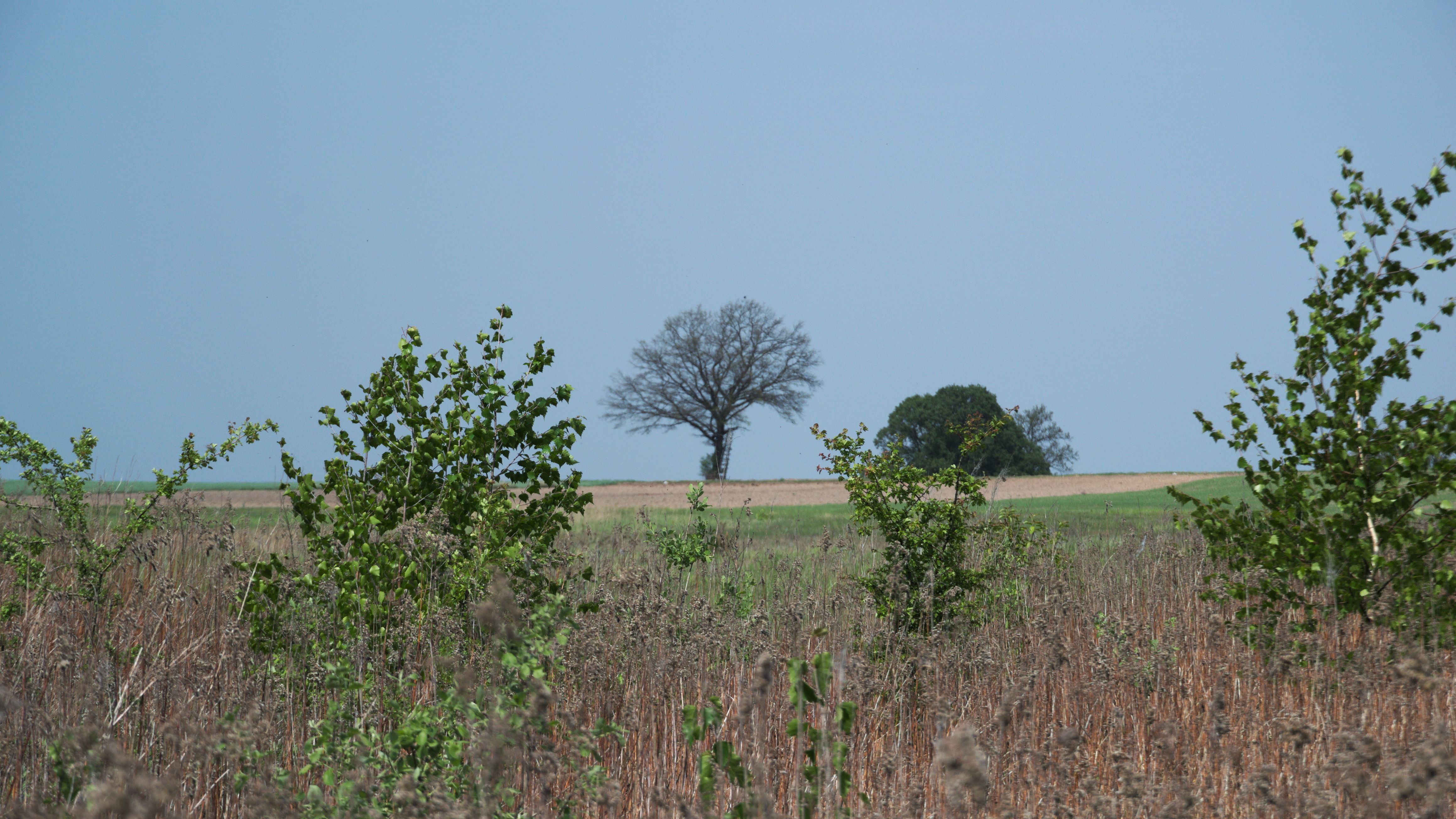 DSC_0322.jpg