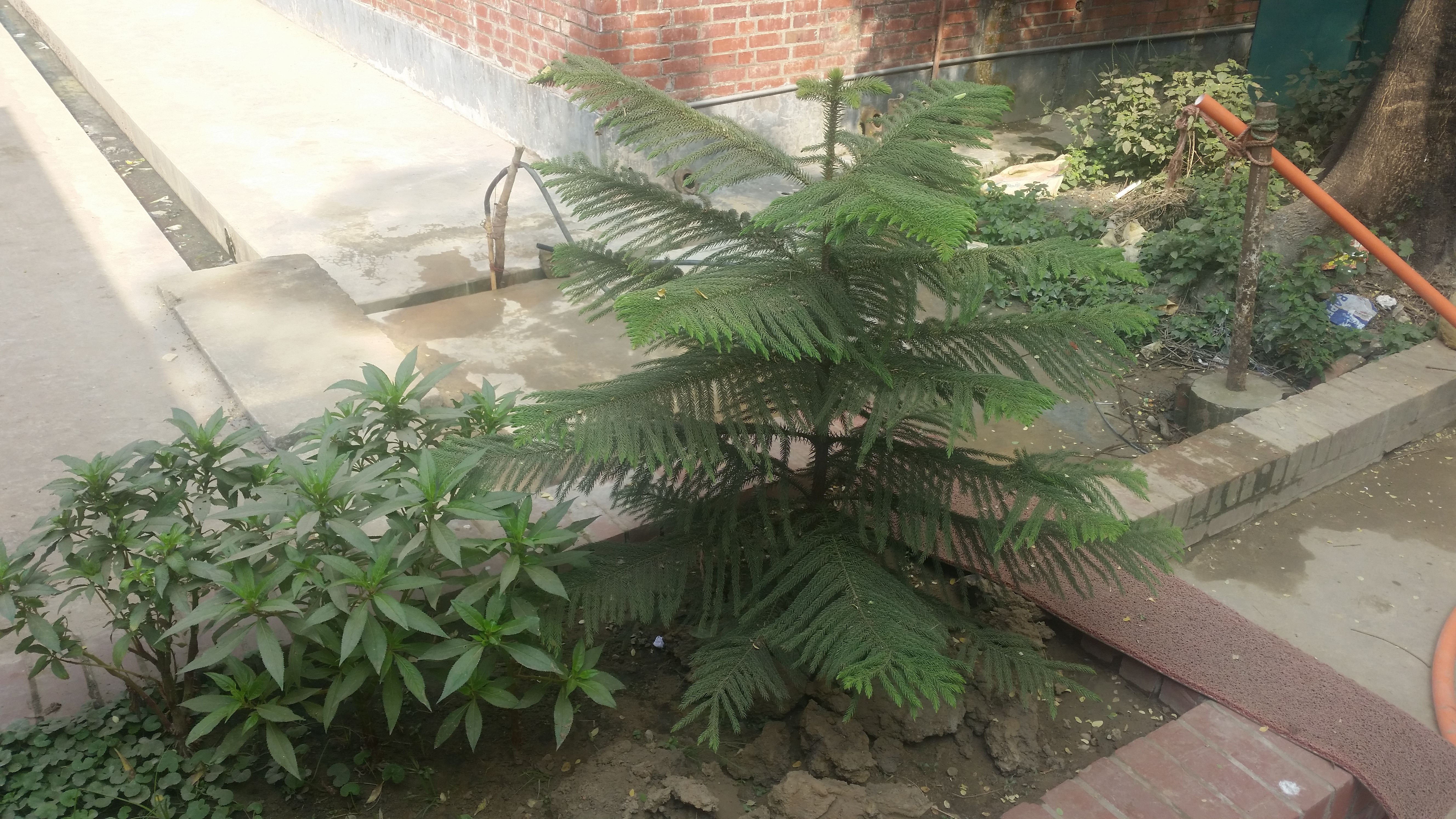 20171130_130113.jpg