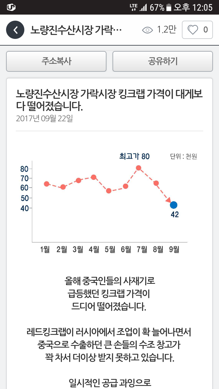 주말에 킹크랩 드세요! 노량진, 가락시장 킹크랩 가격이 대게보다 떨어졌답니다.