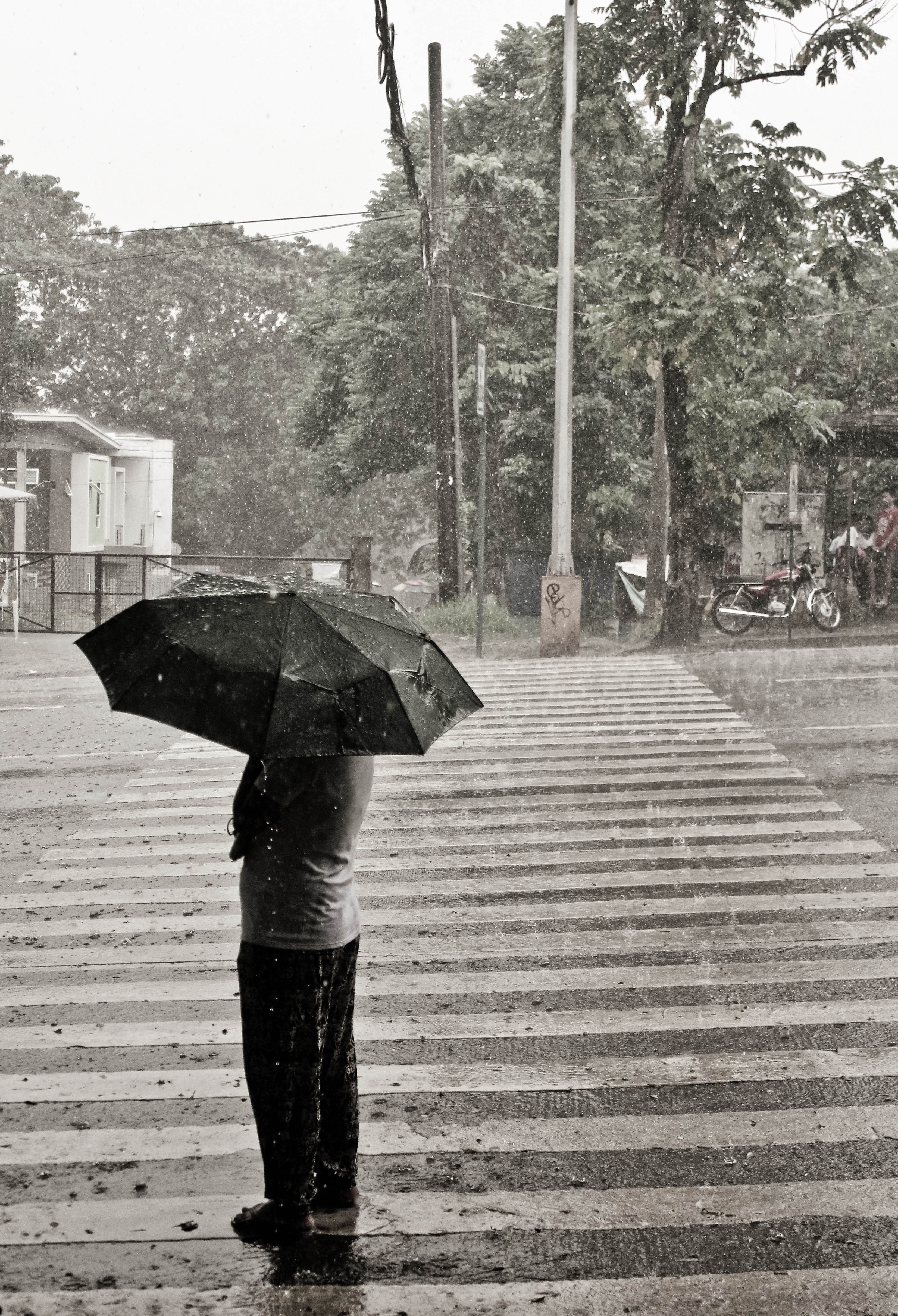 rain.jpg