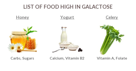 foods-high-in-galactose.jpg