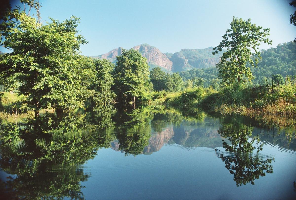 3 Pachmarhi BR a view of vegetation.jpg