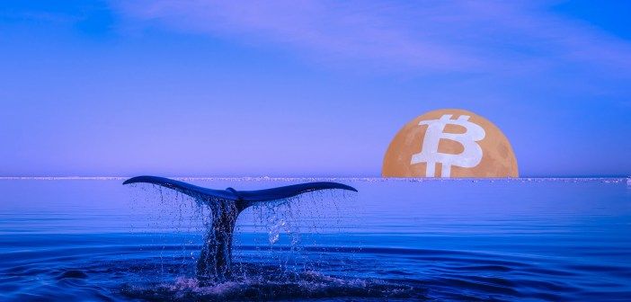 Bitcoin-bientot-institutionnel-.jpg