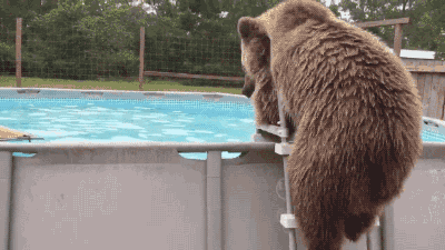 tumblr_nqhd89TZiA1s02vreo1_400.gif