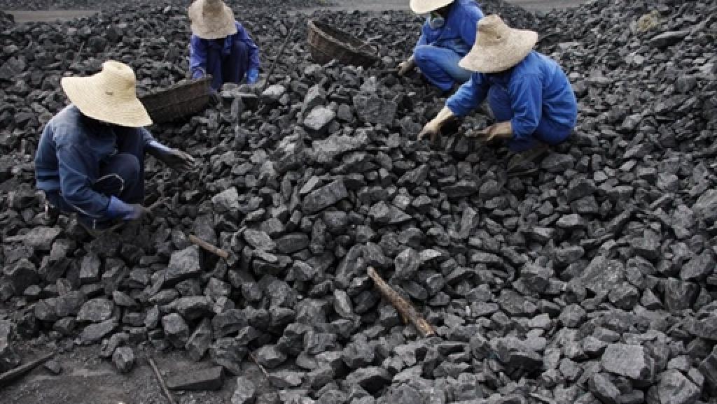 Shandong Coal.jpg