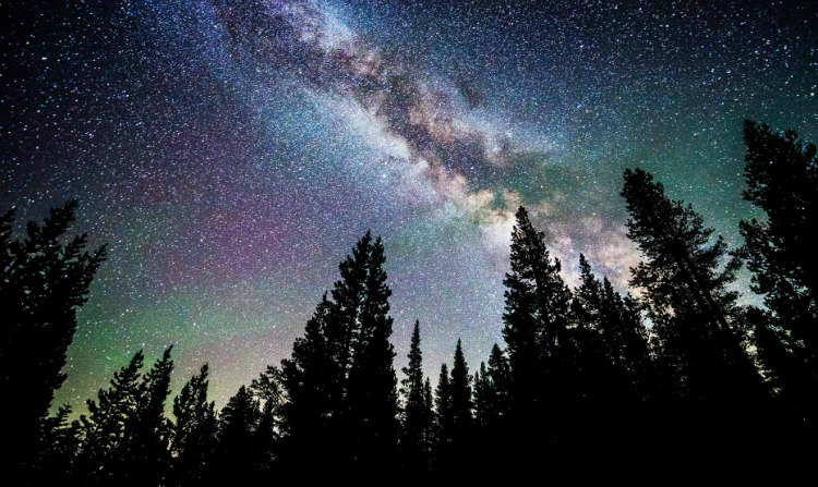 Trees-and-Milky-Way.jpg